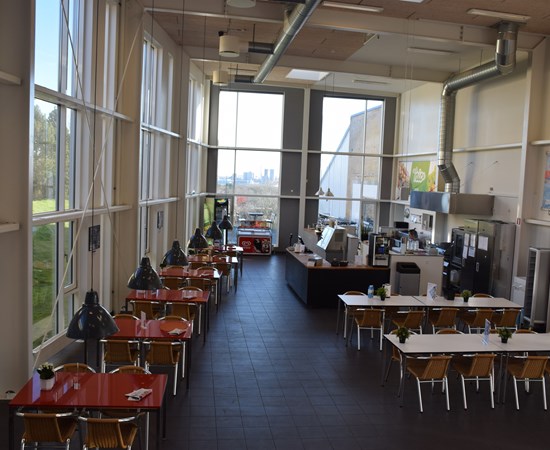 Overblik over Skansens cafeområde